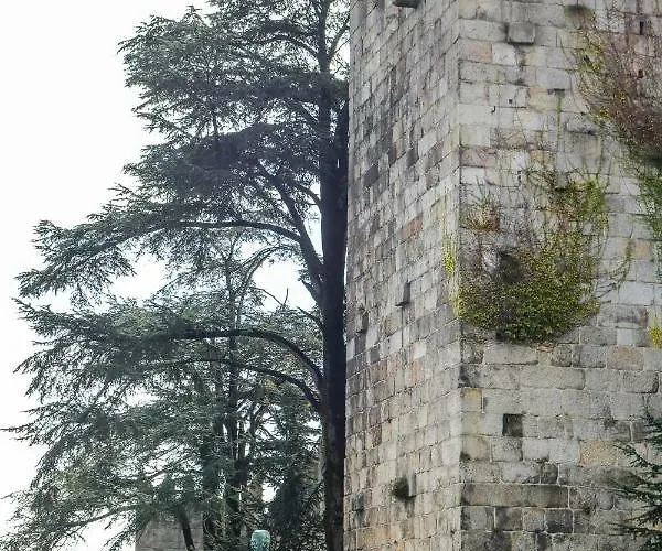 Bluetile Sol 波尔图